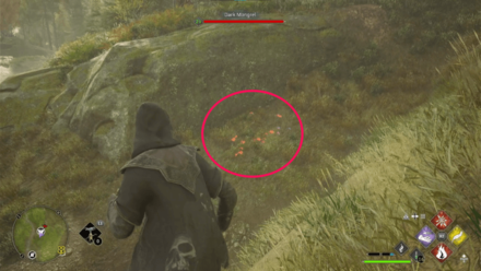 Butterfly Chest 7 Starting Location World View