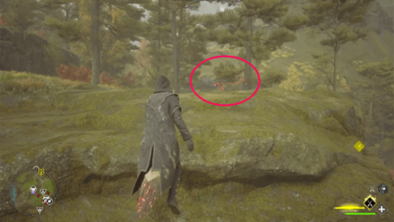 Butterfly Chest 8 Starting Location World View