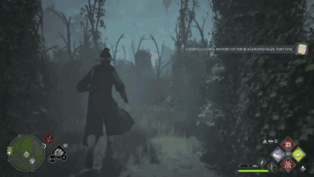 How to Solve Hedge Maze