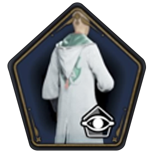 Geometric House Cloak