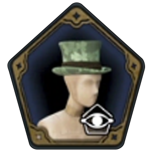 Lucky Leprechaun Hat