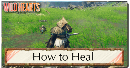 Wild Hearts - How to Heal