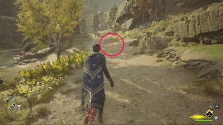 Butterfly Chest 9 Starting Location World View