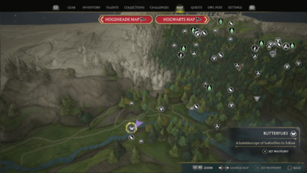 Butterfly Chest 9 Starting Location Map View