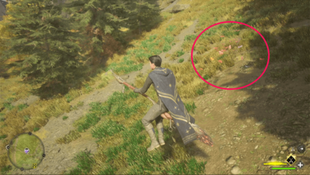 Butterfly Chest 10 Starting Location World View