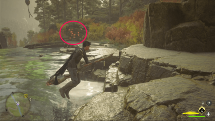 Butterfly Chest 11 Starting Location World View