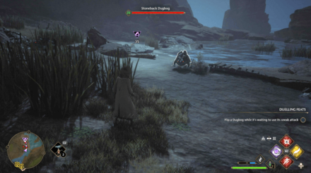 Hogwarts Legacy - Stoneback Dugbog World View