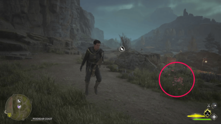 Butterfly Chest 13 Starting Location World View