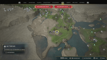 Butterfly Chest 14 Starting Location Map View