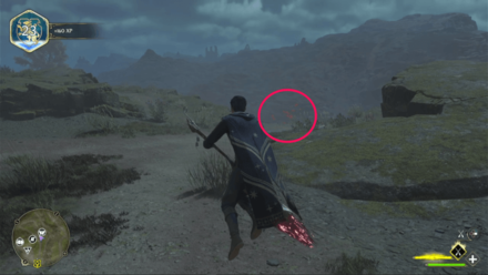 Butterfly Chest 15 Starting Location World View