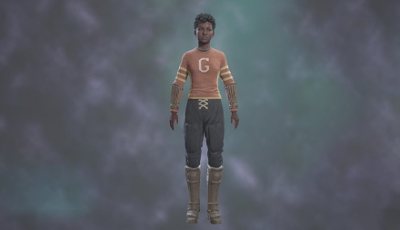 Quidditch Captain