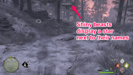 Hogwarts Legacy - Shiny Beasts Display a Shiny Symbol