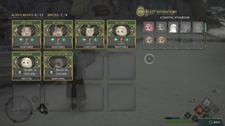 Hogwarts Legacy - Breed One Shiny Male Beast and One Shiny Female Beast