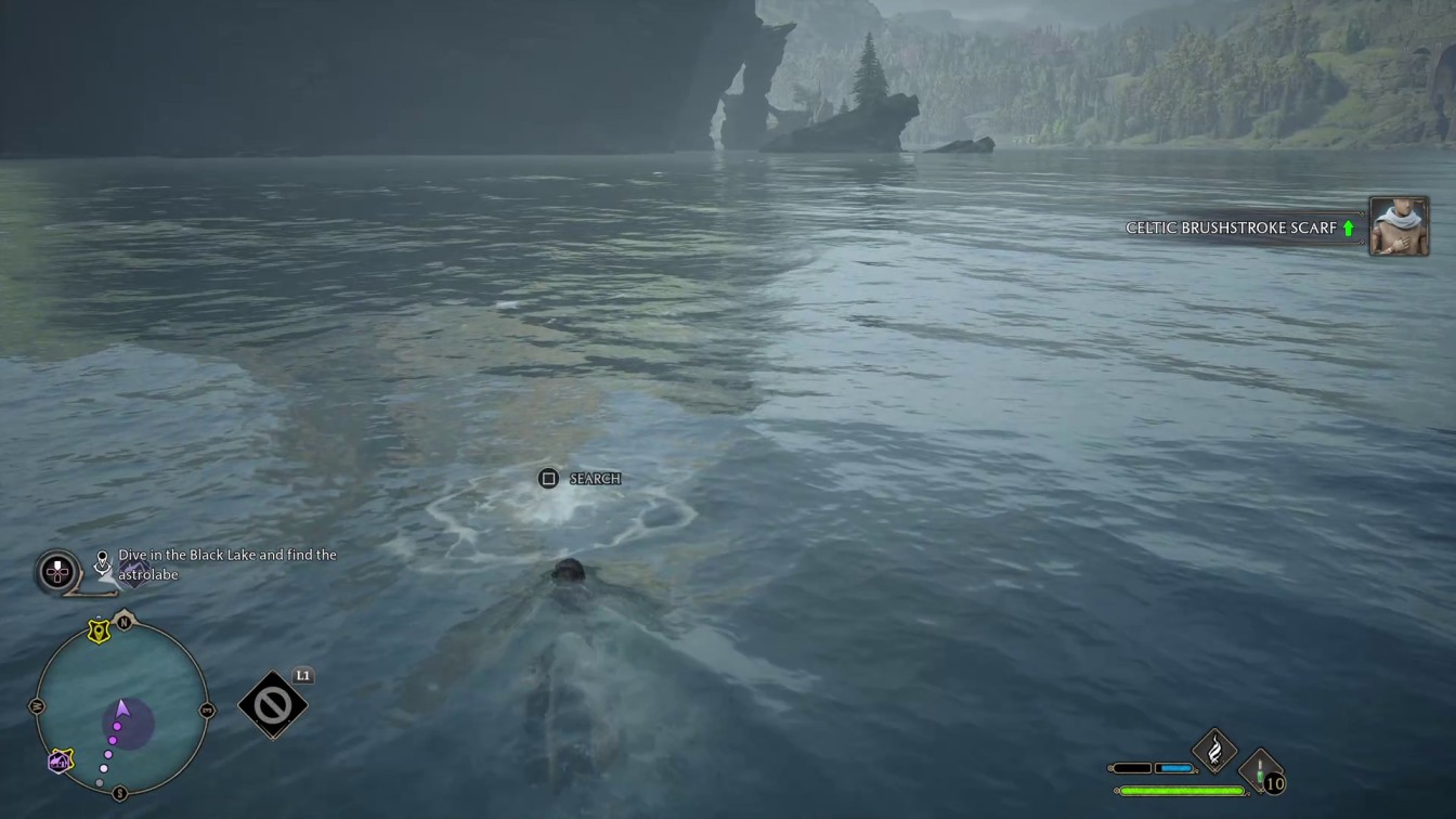 Hogwarts Legacy How to Dive