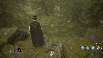 Hogwarts Legacy - Northwest of Merlin Trial - Butterflies 1