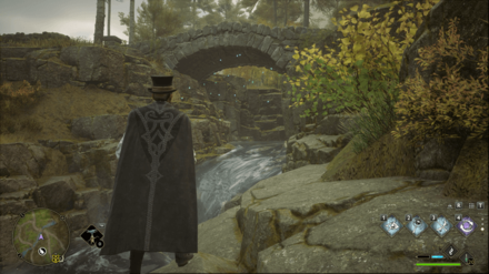 Hogwarts Legacy - Northwest of Merlin Trial - Butterflies 2