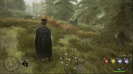 Hogwarts Legacy - Northwest of Keenbridge Merlin Trial - Pillar 1