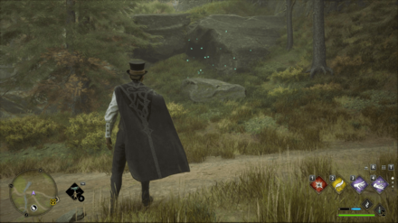 Hogwarts Legacy - Northwest of Merlin Trial - Butterflies 3