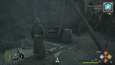 Poidsear Coast, Phoenix Mountain Cave