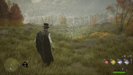 Hogwarts Legacy - West of Brocburrow Merlin Trial - Butterflies 3