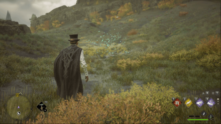 Hogwarts Legacy - West of Brocburrow Merlin Trial - Butterflies 1