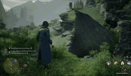 North Hogsmeade Dogweed and Deathcap