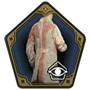 Autumn Festival Cloak