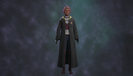 Hogwarts Legacy - Traditional School Robe