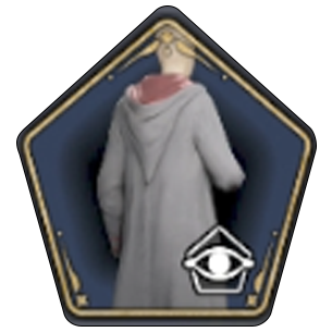 Classical School Robe