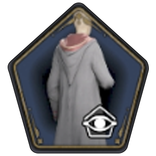 Majestic School Robe