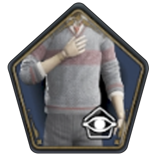 Wool Jumper Uniform