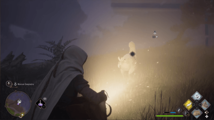 Birds of a Feather Step 3