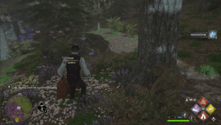 Follow the Butterflies Step 3