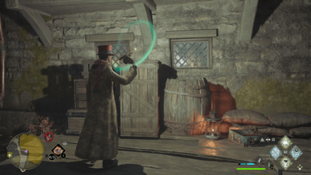 Moth Mirror Puzzle 1