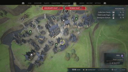 Moth Mirror Puzzle 2