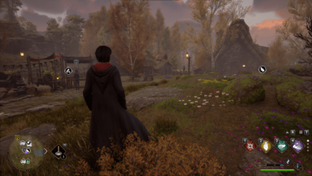 Hogwarts Legacy - Brocburrow World