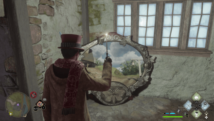 Moth Mirror Puzzle 3