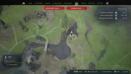 Moth Mirror Puzzle 3