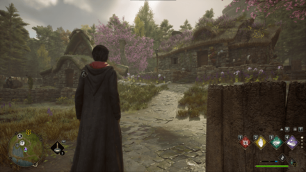 Hogwarts Legacy - Lower Hogsfield World