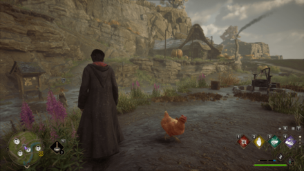 Hogwarts Legacy - Marunweem World