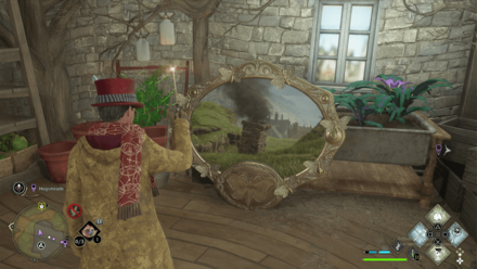 Moth Mirror Puzzle 4