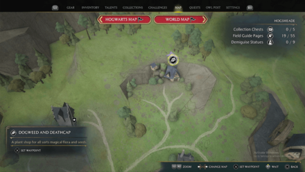 Moth Mirror Puzzle 4