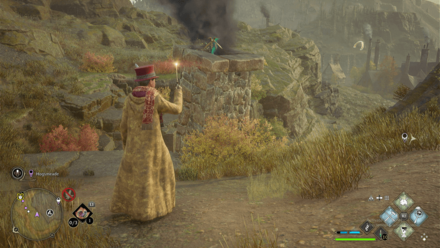 Moth Mirror Puzzle 4