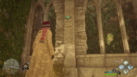 South Wing Moth Mirror Puzzle 1