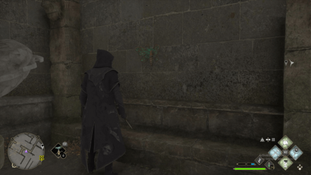 Great Hall Moth Mirror Puzzle 2