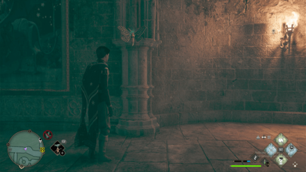 Great Hall Moth Mirror Puzzle 3