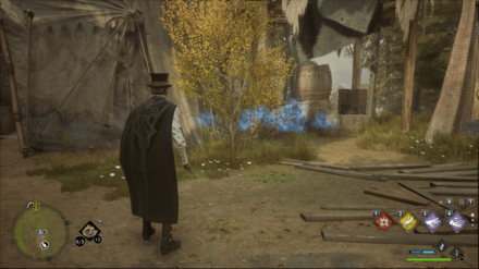 Hogwarts Legacy -Northwest of the Northern South Sea Bog Merlin Trial - Statue 3