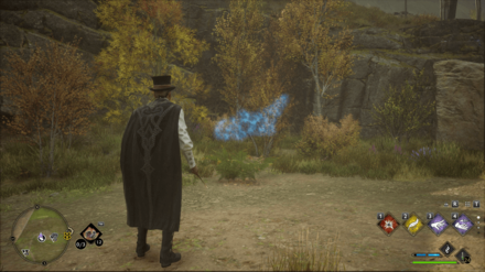 Hogwarts Legacy -Northwest of the Northern South Sea Bog Merlin Trial - Statue 2