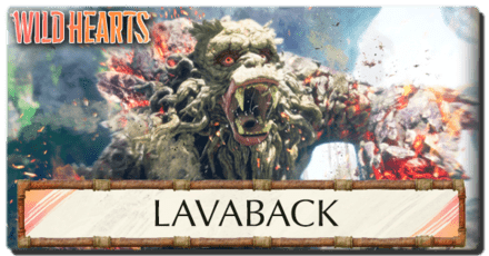 Lavaback Banner