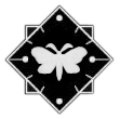 Moth Puzzles Icon